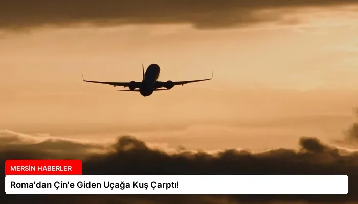 Roma’dan Çin’e Giden Uçağa Kuş Çarptı!