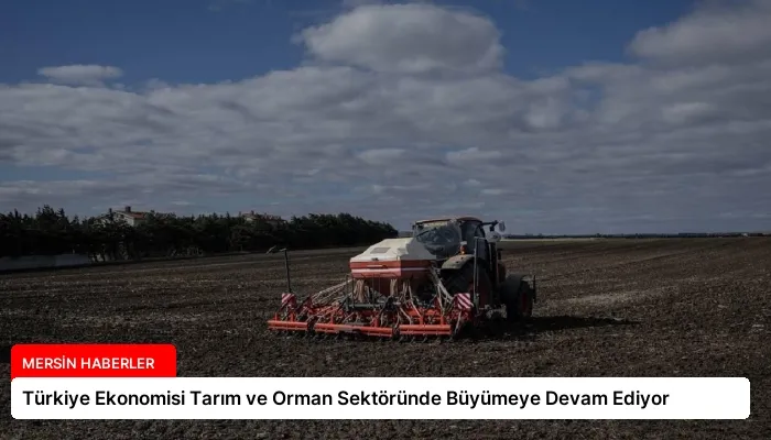 Türkiye Ekonomisi Tarım ve Orman Sektöründe Büyümeye Devam Ediyor