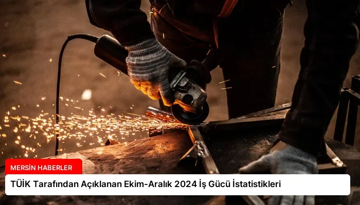 TÜİK Tarafından Açıklanan Ekim-Aralık 2024 İş Gücü İstatistikleri