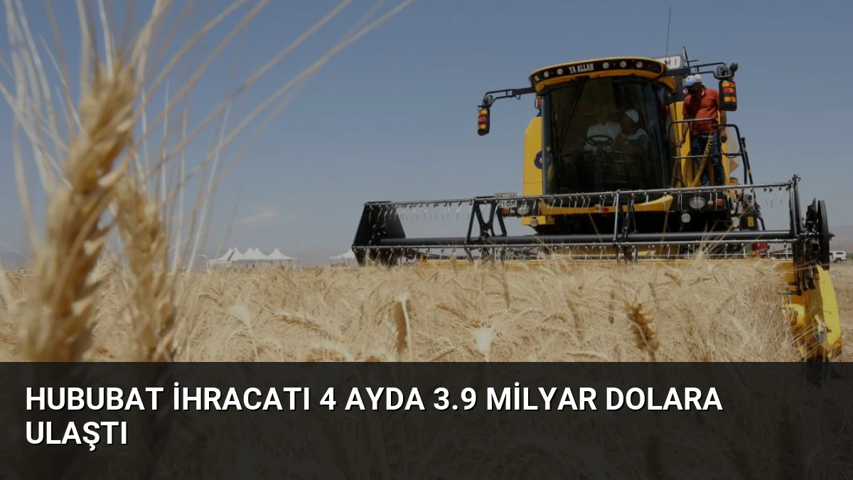 Hububat İhracatı 4 Ayda 3.9 Milyar Dolara Ulaştı