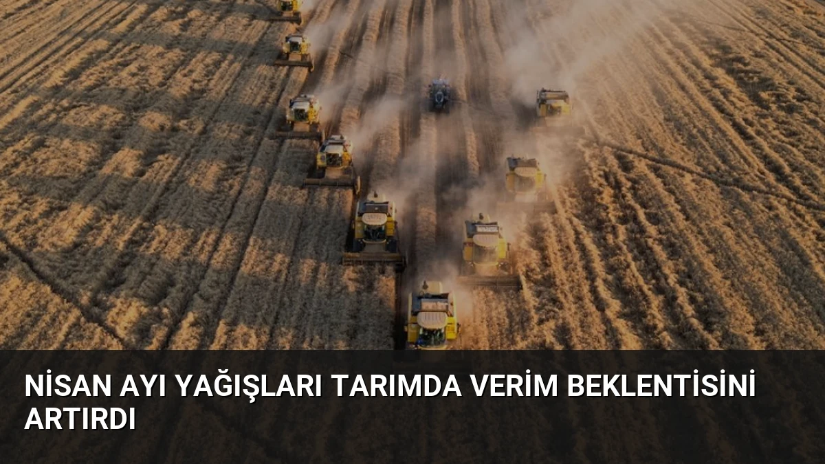 Nisan Ayı Yağışları Tarımda Verim Beklentisini Artırdı