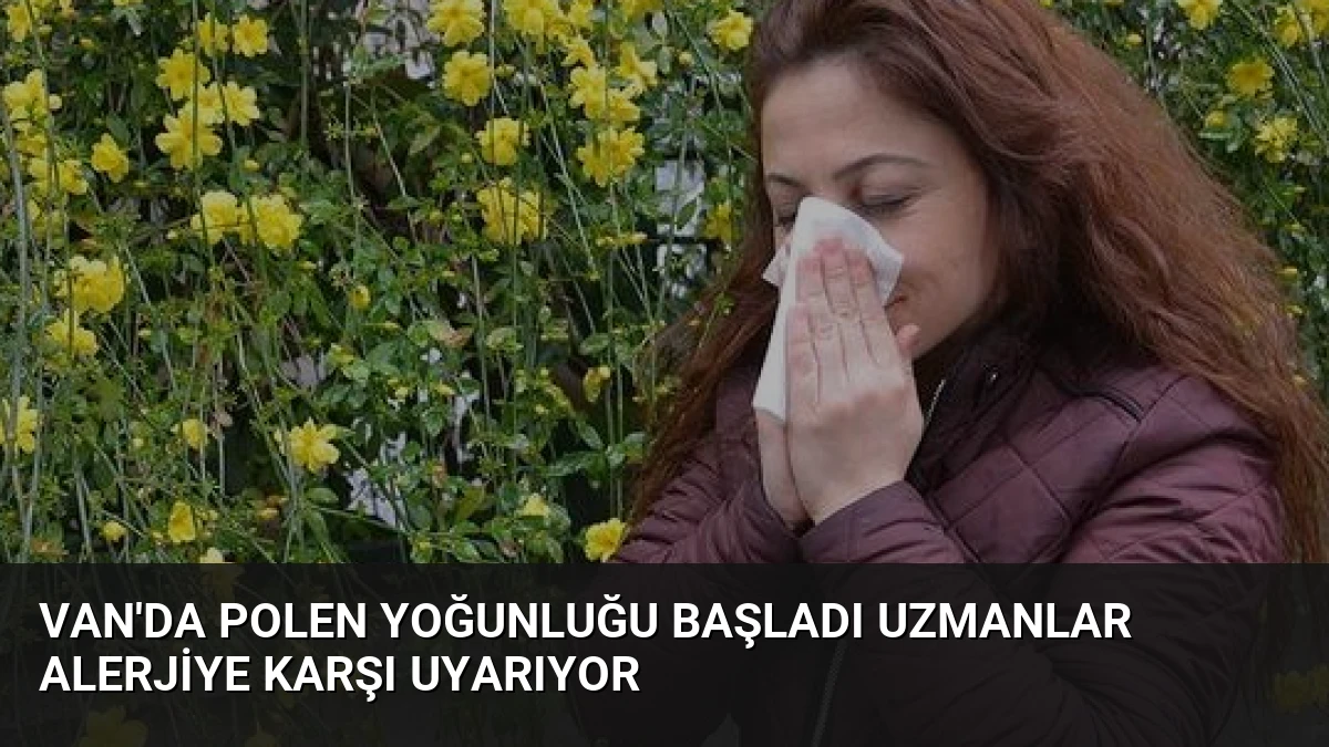 Van’da Polen Yoğunluğu Başladı Uzmanlar Alerjiye Karşı Uyarıyor