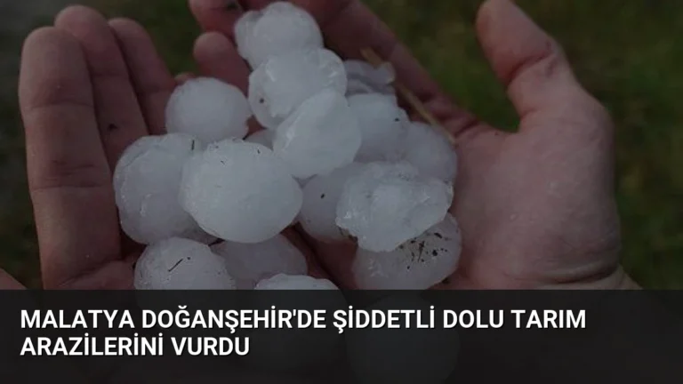 Malatya Doğanşehir’de Şiddetli Dolu Tarım Arazilerini Vurdu
