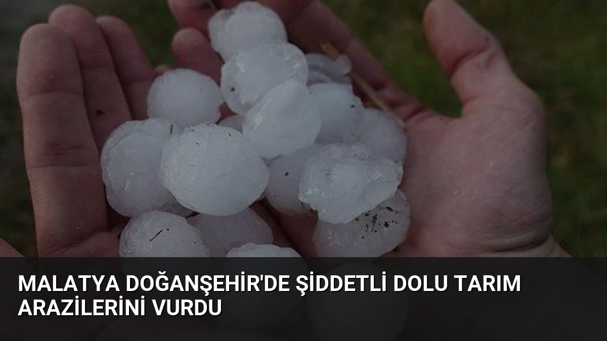 Malatya Doğanşehir’de Şiddetli Dolu Tarım Arazilerini Vurdu