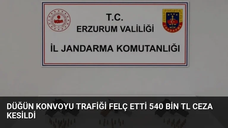 Düğün Konvoyu Trafiği Felç Etti 540 Bin TL Ceza Kesildi