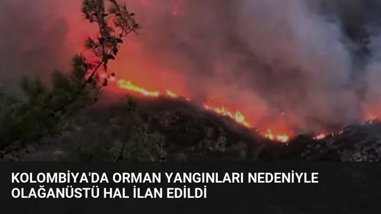 Kolombiya’da Orman Yangınları Nedeniyle Olağanüstü Hal İlan Edildi
