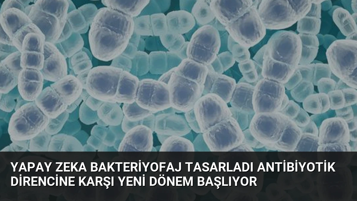 Yapay Zeka Bakteriyofaj Tasarladı Antibiyotik Direncine Karşı Yeni Dönem Başlıyor
