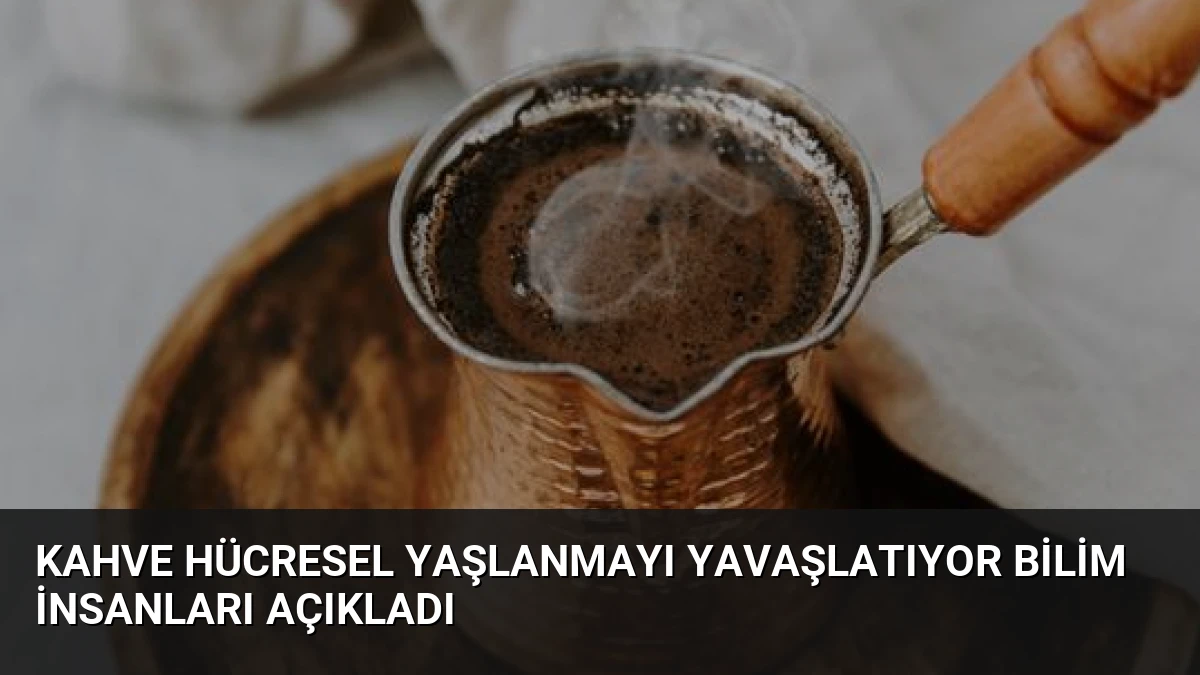 Kahve Hücresel Yaşlanmayı Yavaşlatıyor Bilim İnsanları Açıkladı