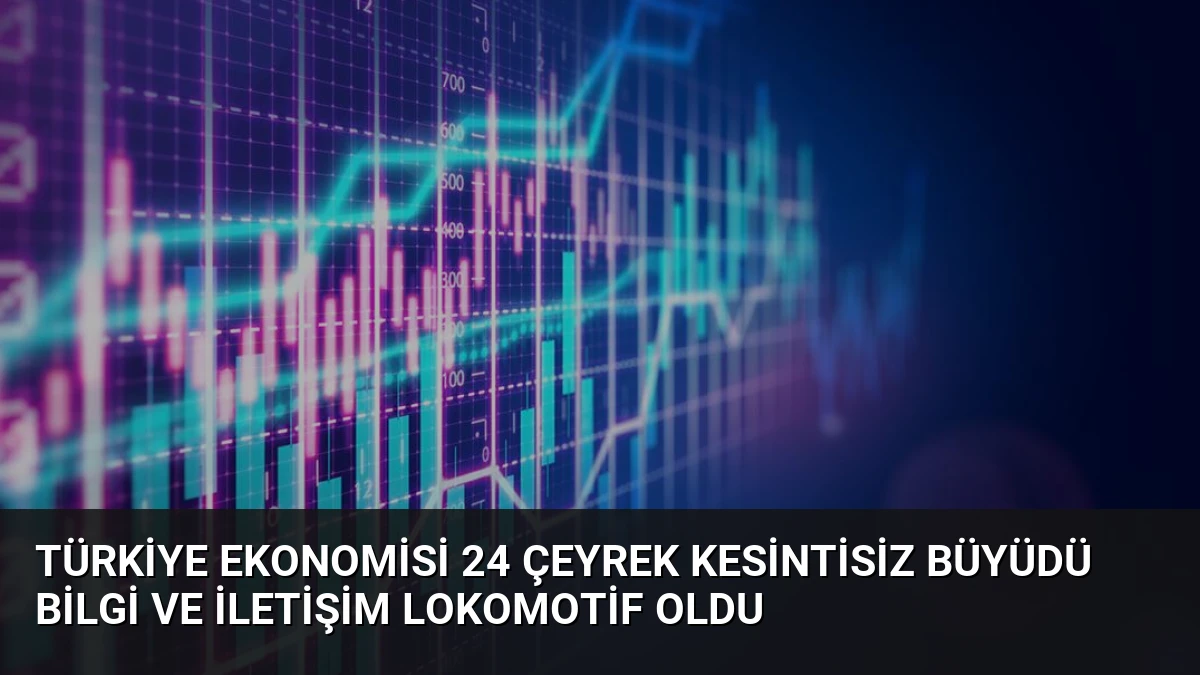 Türkiye Ekonomisi 24 Çeyrek Kesintisiz Büyüdü Bilgi ve İletişim Lokomotif Oldu