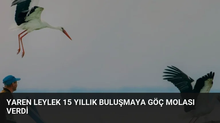 Yaren Leylek 15 Yıllık Buluşmaya Göç Molası Verdi