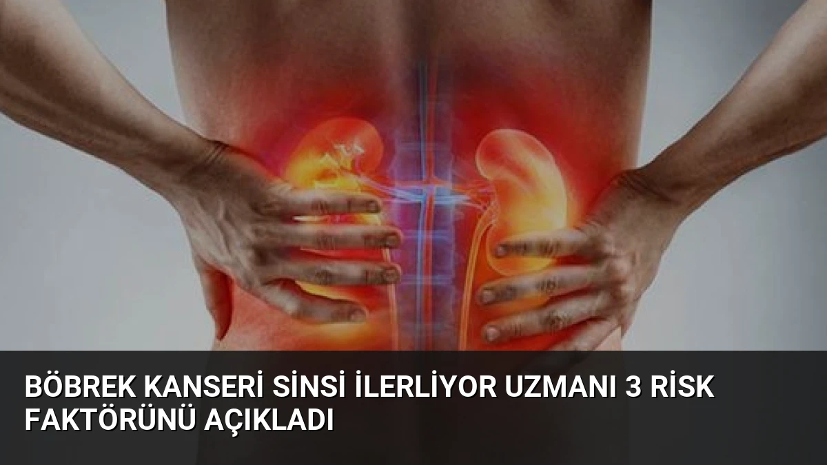 Böbrek Kanseri Sinsi İlerliyor Uzmanı 3 Risk Faktörünü Açıkladı
