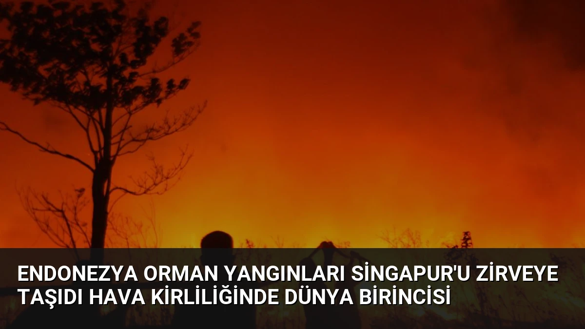 Endonezya Orman Yangınları Singapur’u Zirveye Taşıdı Hava Kirliliğinde Dünya Birincisi
